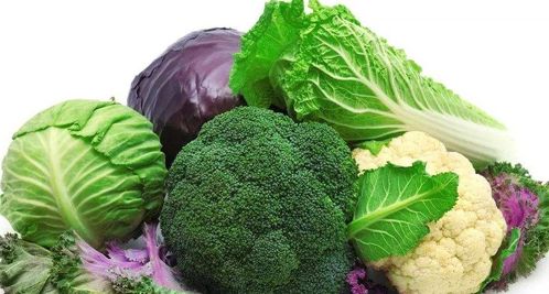 十大健康食品与垃圾食品 科学饮食的选择指南